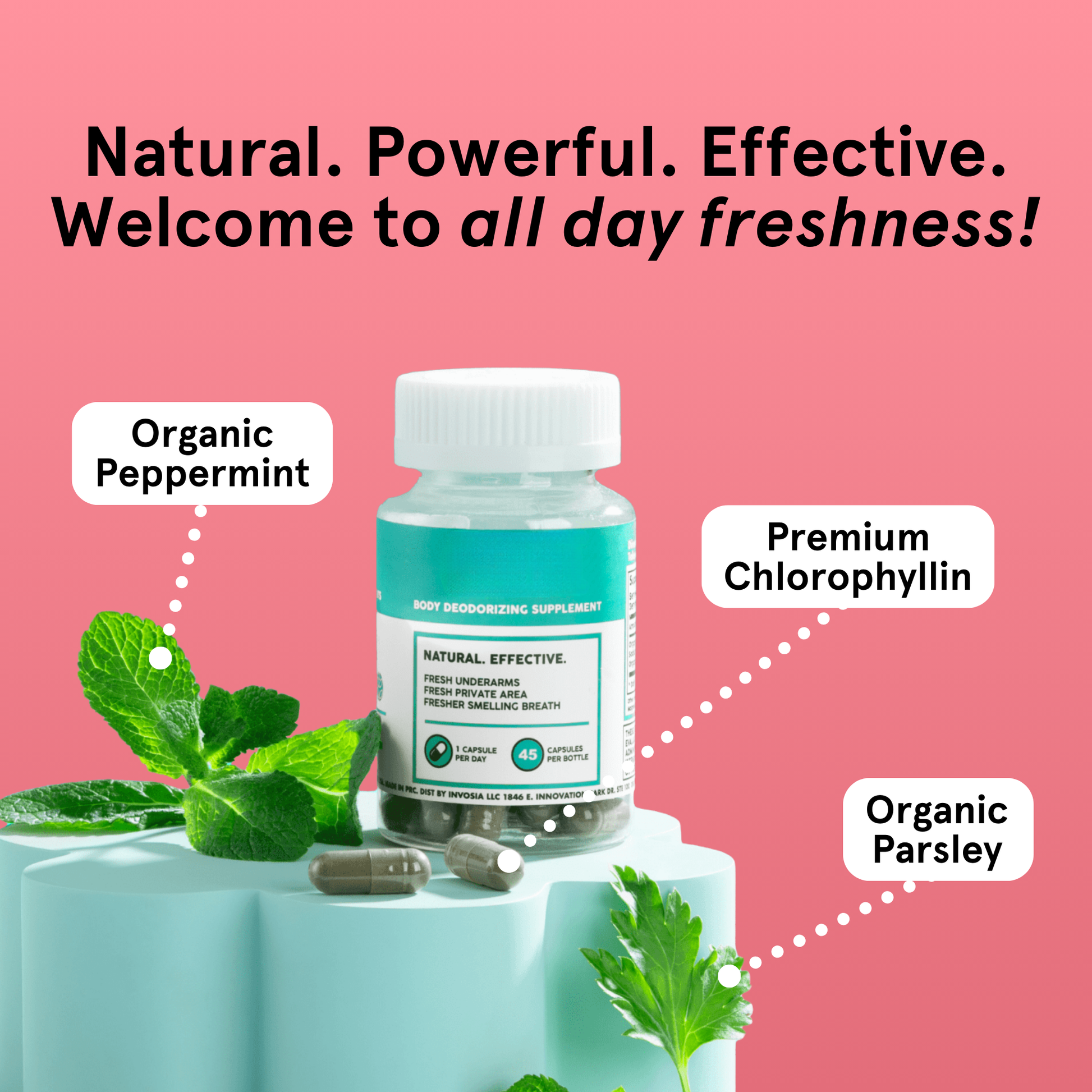 Internal Body Deodorizer